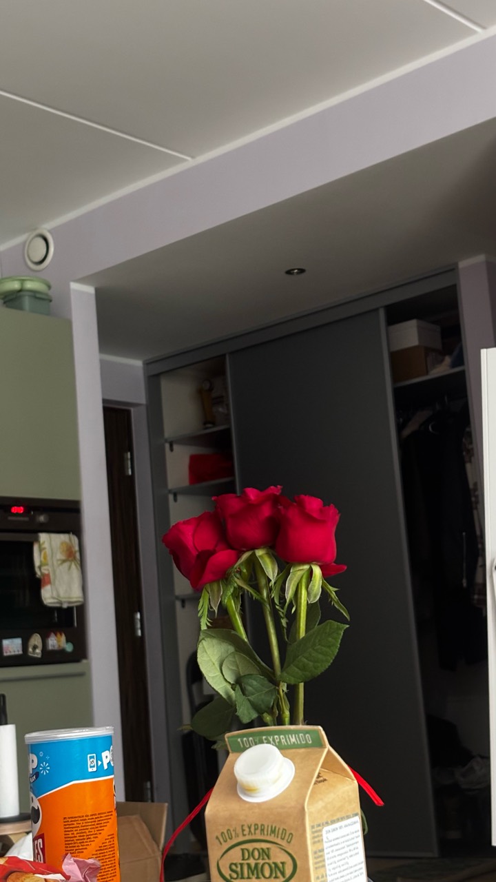 Red roses in a carton vase in a lived-in room